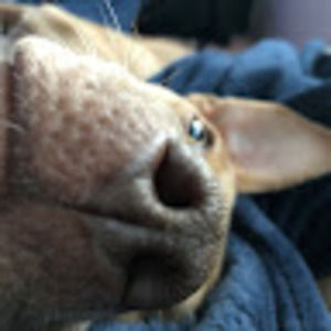 Meet your Posher, Elisabeth